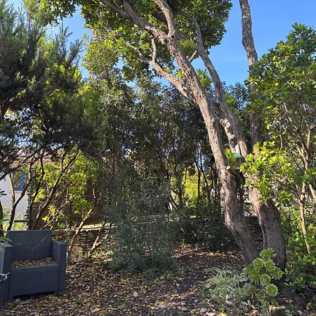 Cappellina * Bonifacio (Corsica)