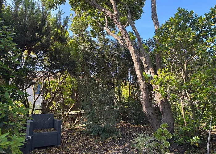 Cappellina * Bonifacio (Corsica)